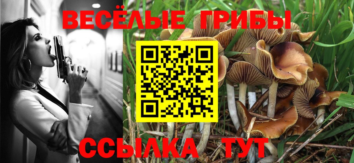 купить закладку  Псилоцибиновые грибы Psilocybine cubensis  Вход с VPN  Кунгур 