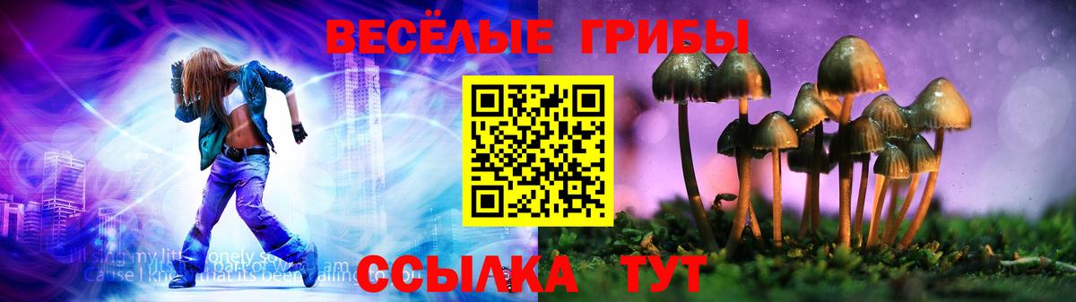 Меф Кунгур